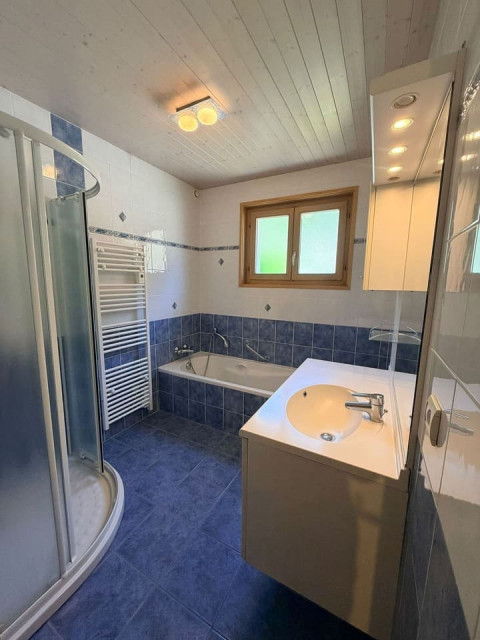 Chalet Fifine, Bath and shower room, Chatel Abondance valley