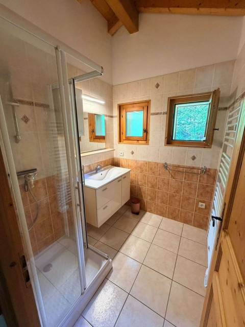 Chalet Fifine, Shower room, Chatel Mountain chalet