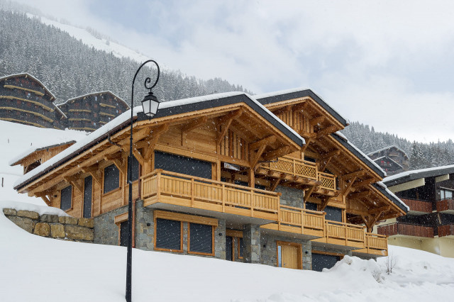 Chalet HAUTE CIME - 16 personnes - vue extérieur - châtel hiver