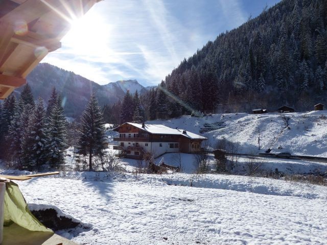 Chalet Haute-Cime Châtel Jardin Hiver