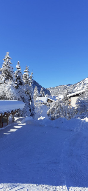 Chalet L'Orée du lac, Chatel, Snowflakes