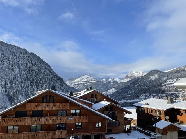 Chalet l'ORME, Châtel, vue, neige