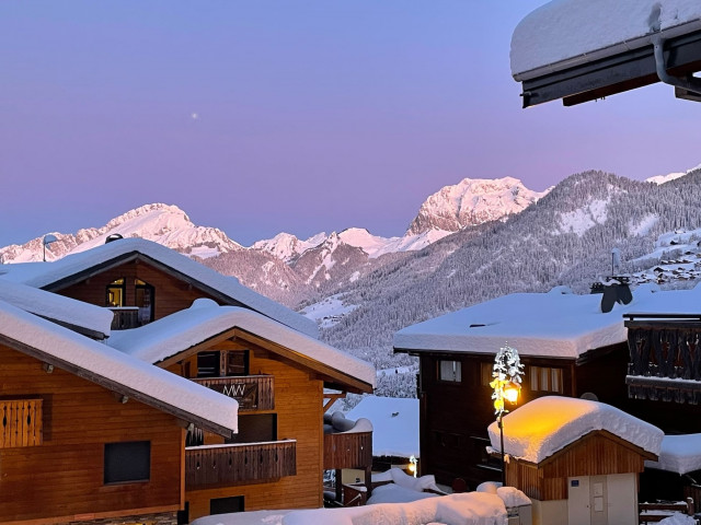 Chalet l'ORME, Outside view, Châtel Family ski holidays