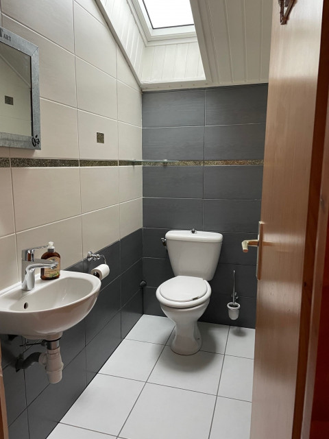 Chalet l'ORME, WC, Châtel Portes du Soleil