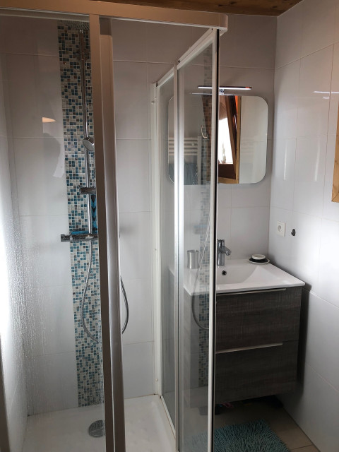 Apartment In Chalet l'Ourson n°2, Shower room, Châtel