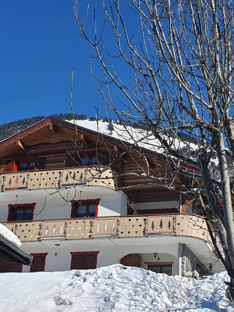 Chalet The Boule de Neige, Outside view, Châtel Winter