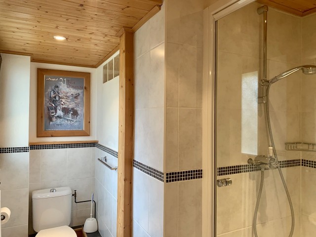 Chalet La Chouta Châtel  Douche