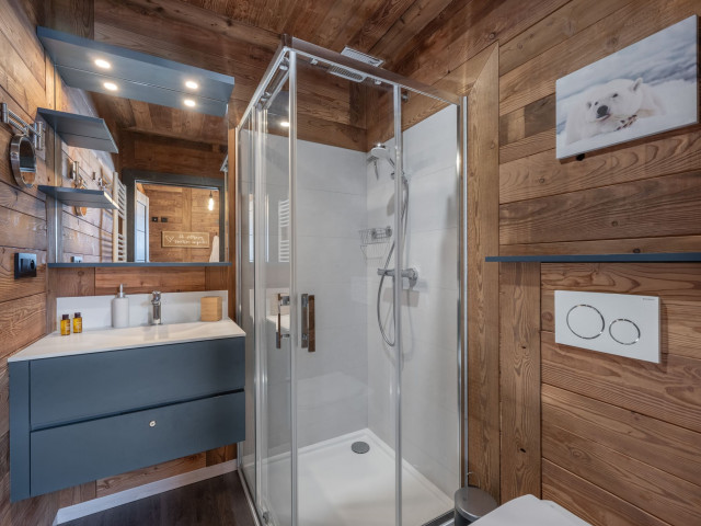 Chalet La Sapinette, Châtel, Salle de douche, Cours de ski