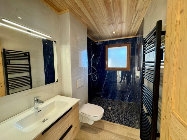 Chalet Laurentine, Chatel, Shower room and WC, Ski resort