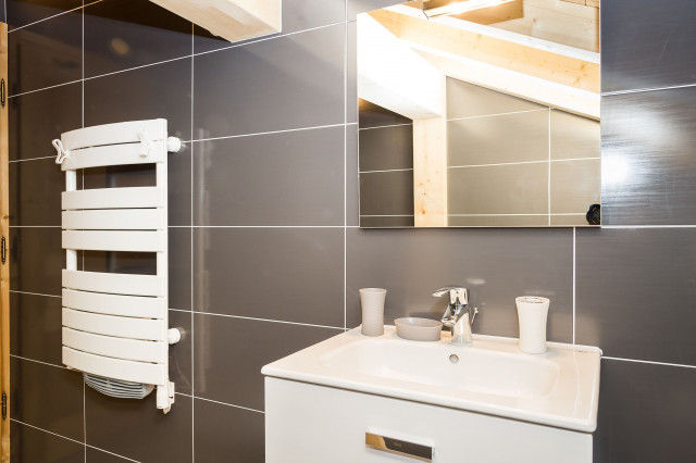 Chalet Le Bois Brulé, Châtel, shower room