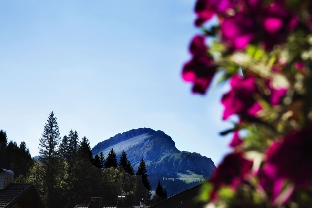 Chalet le Savoyard, vue depuis le chalet, Châtel