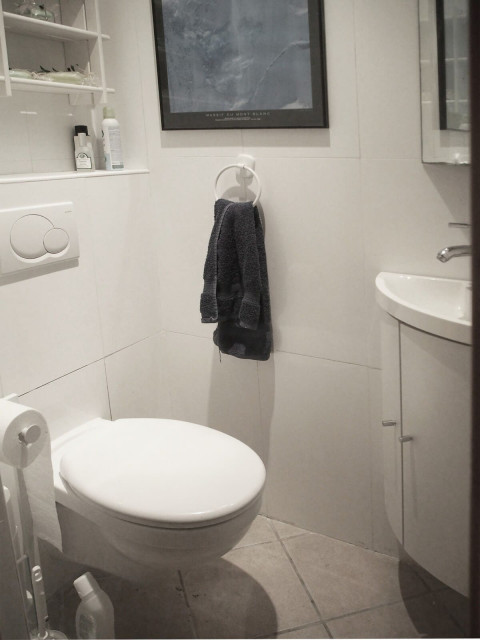 Chalet les Carlines, Bottom, WC, Chatel, Accomodation rental