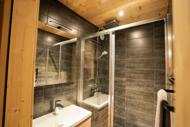 Chalet les Cerfs, Appartement 10 personnes, Salle de douche, Châtel