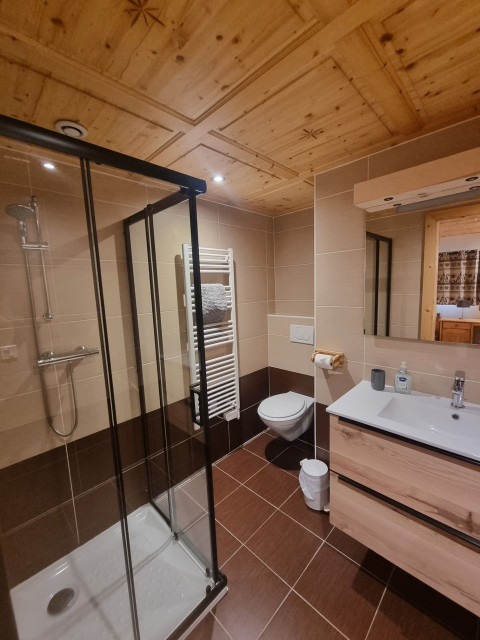 Chalet Les Romains, salle de douche/ WC, Châtel