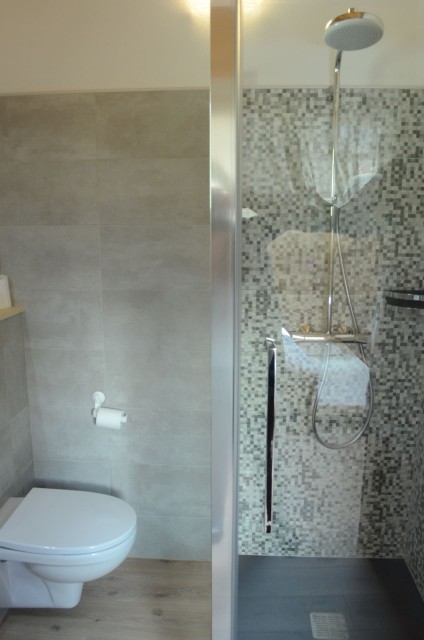 Chalet les sources, shower room in bedroom with 2 single beds + 1 pull-out bed upstairs, Châtel	