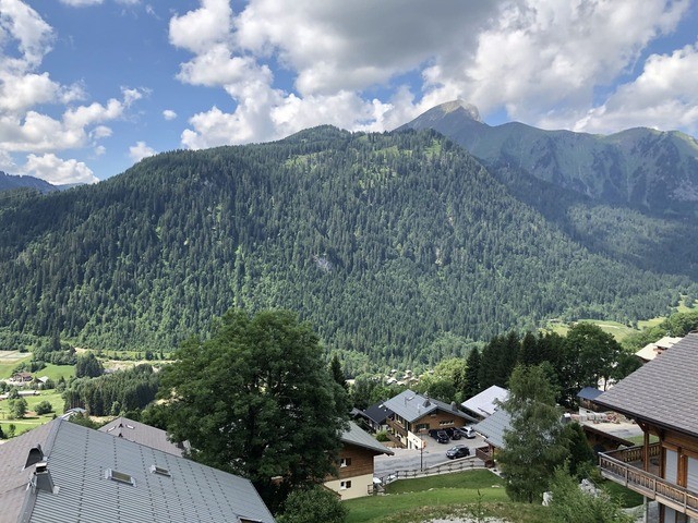 Chalet Les Tournesols Châtel village2