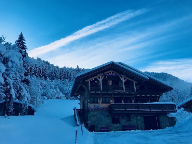 Chalet Linga Rose, Chatel, Ski Resort 