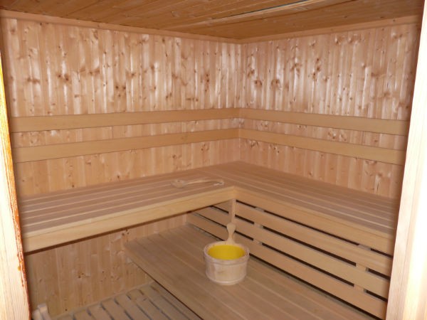 Chalet Linga Sauna Châtel 2