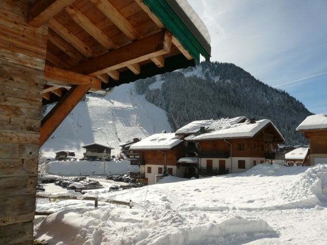 Chalet Linga Vert Châtel neige