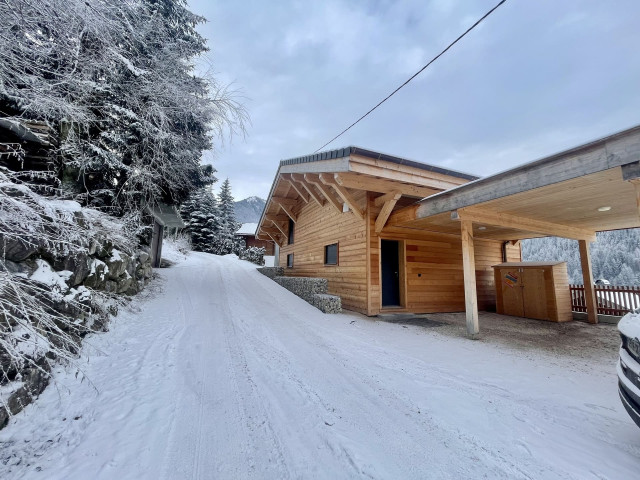 Chalet Louise, sleeps 10, Outdoors, Châtel winter