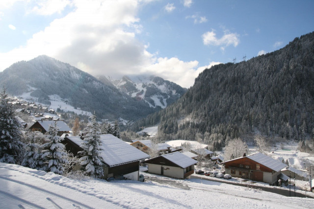 Chalet Montbeliarde, Vue montagne, Châtel 74