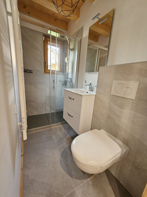 Semi Chalet Vadel, La Chapelle d'Abondance, Shower room and toilet ground floor, Skiing area 74
