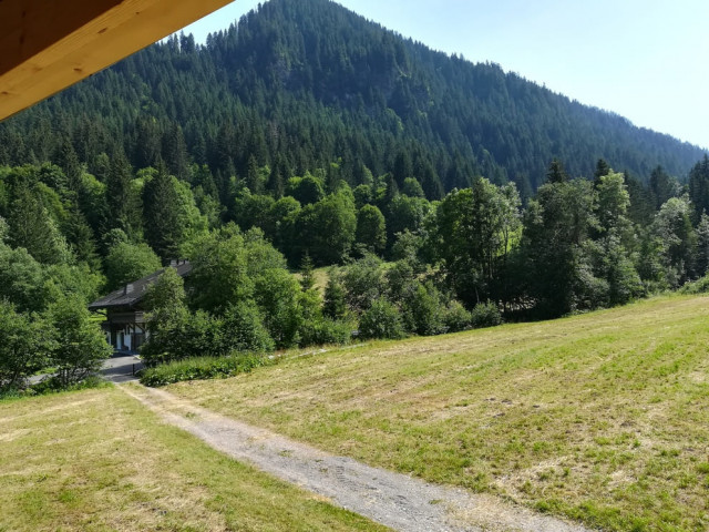 img-20210723-161705-7786043