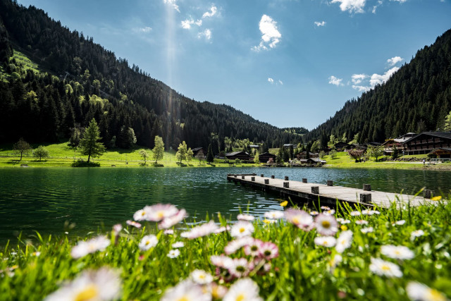 Vonnes Lake, Châtel summer French Alps