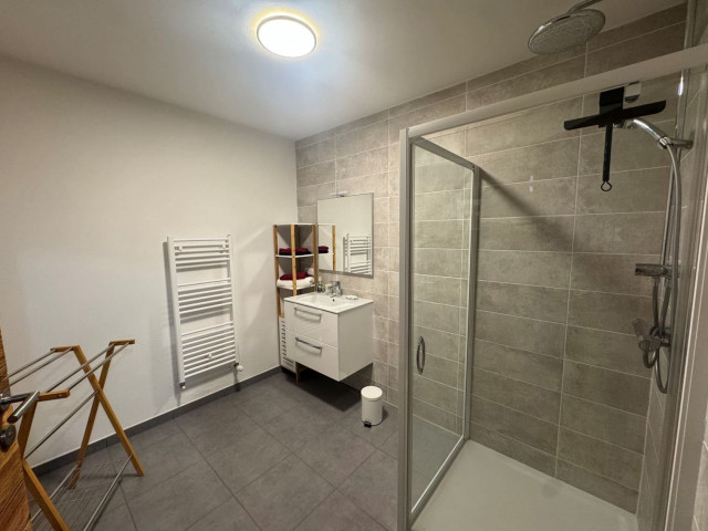Les Soldanelles, appartment 4B, Chatel, shower room, powder snow