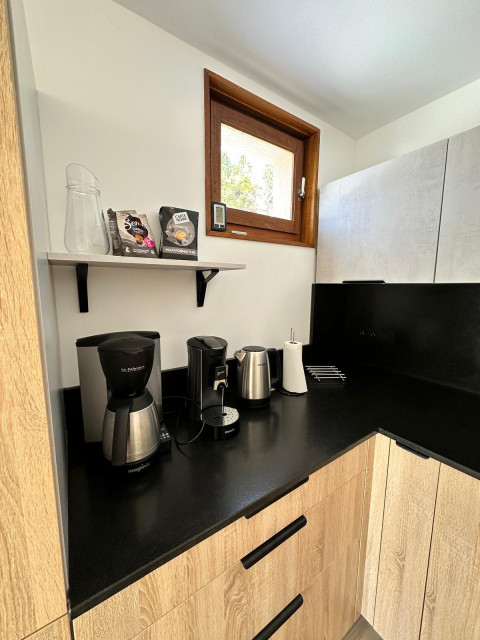Residence Solarium, Appartment rental nr1, Petit-Châtel, kitchen
