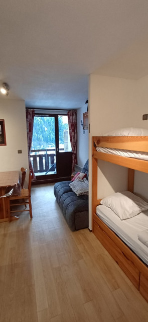 Apartment rental in Chaumière des Neiges, Châtel, mountain view