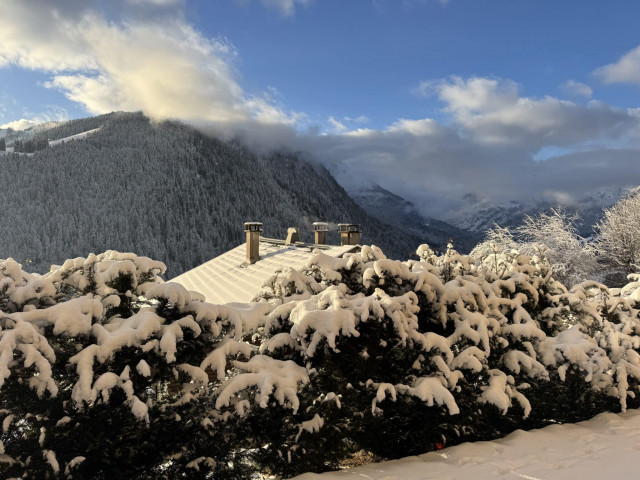 Résidence 360, appartement 19, vue montagne, Châtel domaine skiable