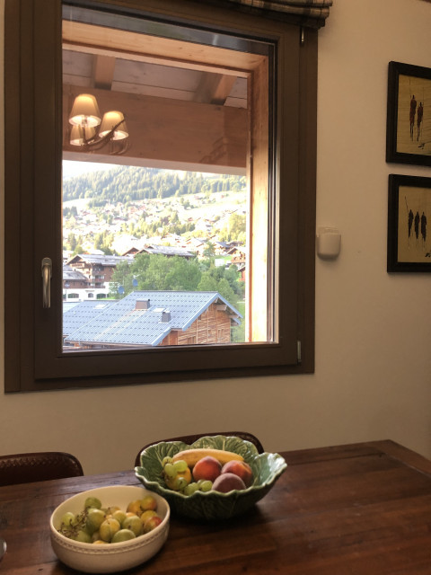 Résidence 4 éléments, appartement 31 A, vue montagne, Châtel Tourisme