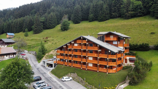 Résidence Alexandra, appartement n°6, Vue, Châtel Portes Du Soleil