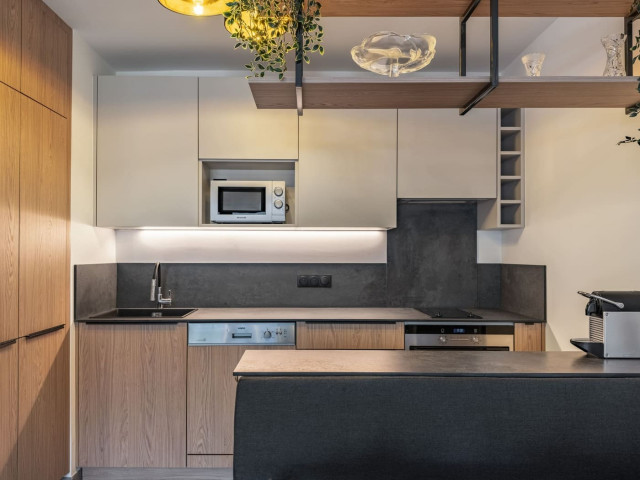 Apartment block Art Mony, Apartment 107, Chatel, Kitchen, Accommodation rental