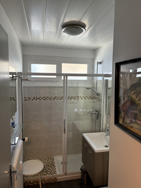 Caribou Residence, Apartment 7, Shower Room, Châtel Tourism