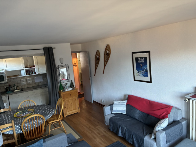 Caribou Residence, Apartment 7, Living Room, Châtel Tourism