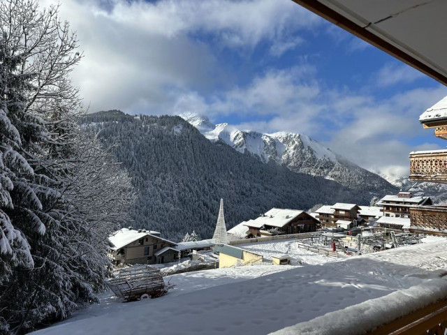 Résidence l'Alchimie, Appartement 11C, Châtel, Vue balcon, Domaine skiable