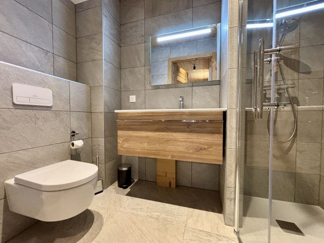 Résidence l'Alchimie, Appartement 12C, Châtel, Salle de douche, Télésiège