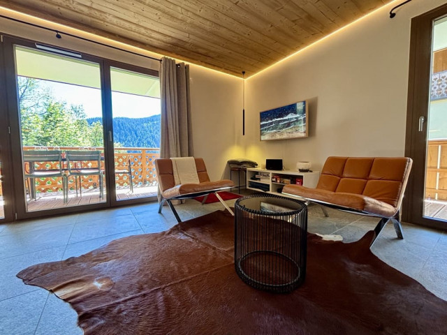 Résidence l'Alchimie, Appartement 12C, Châtel, Séjour, Matériel de ski
