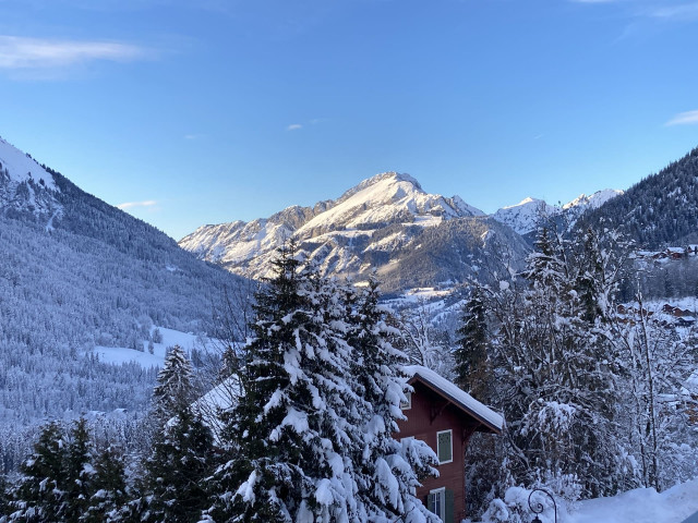 Residence Le Morclan n°15, Mountain view, Châtel Chairlift 74