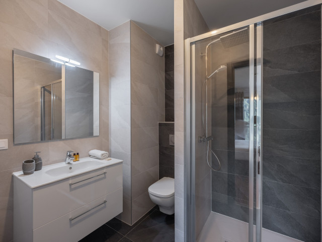 Résidence Le Theleme, Apartment 304 A, shower room, Châtel Les Portes du Soleil
