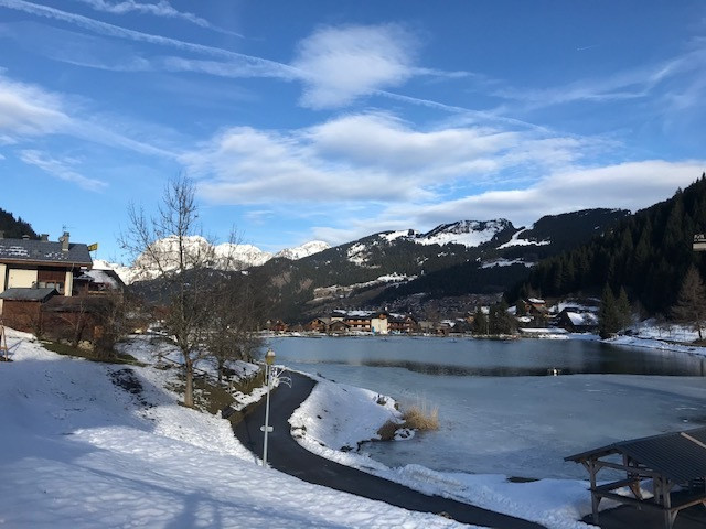 Apartment rental nr19 in residence Les Fioles, Châtel French Alps