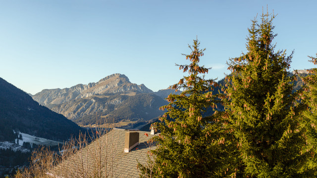 Résidence les Flambeaux, Vue montagnes, Châtel Télésiège 74