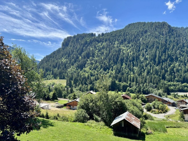 Résidence Les Gentianes, apartment B64, view from the apartment, Châtel Les Portes du Soleil