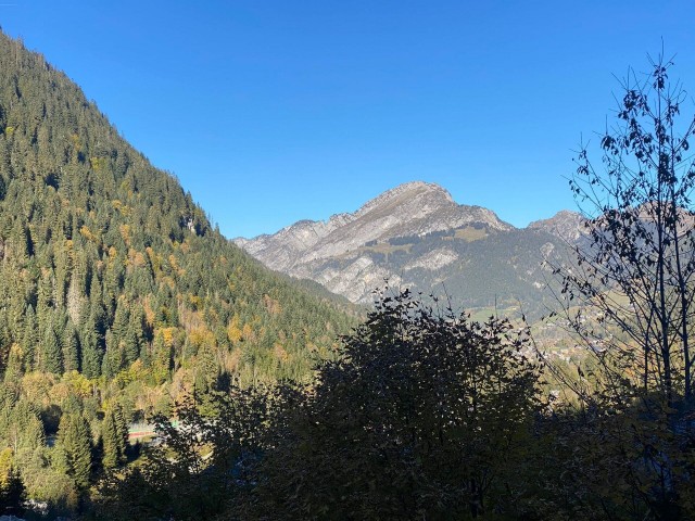 Résidence les Loges Blanches, 8 personnes, Châtel, centre du village, vue montagnes