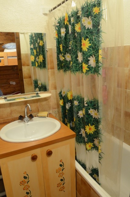 Résidence Les Montagnys Châtel studio