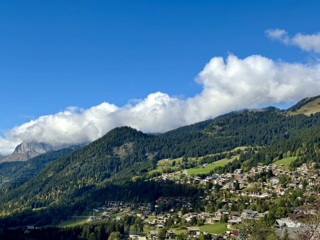 Résidence Les Soldanelles, appartement 07, vue montagne, Châtel Les Portes du Soleil