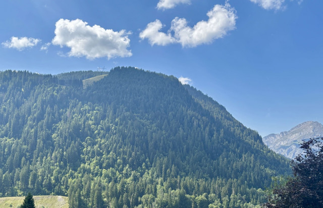 Les Soldanelles Residence, Building A, Apartment 02, mountain view, Châtel ski snow sun vacation