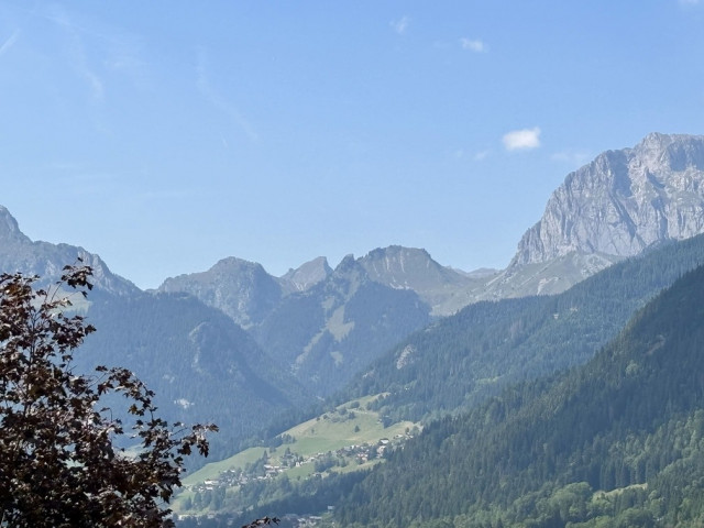 Les Soldanelles Residence, Building A, Apartment 02, mountain view, Châtel ski snow sun mountain vacation snowflake
